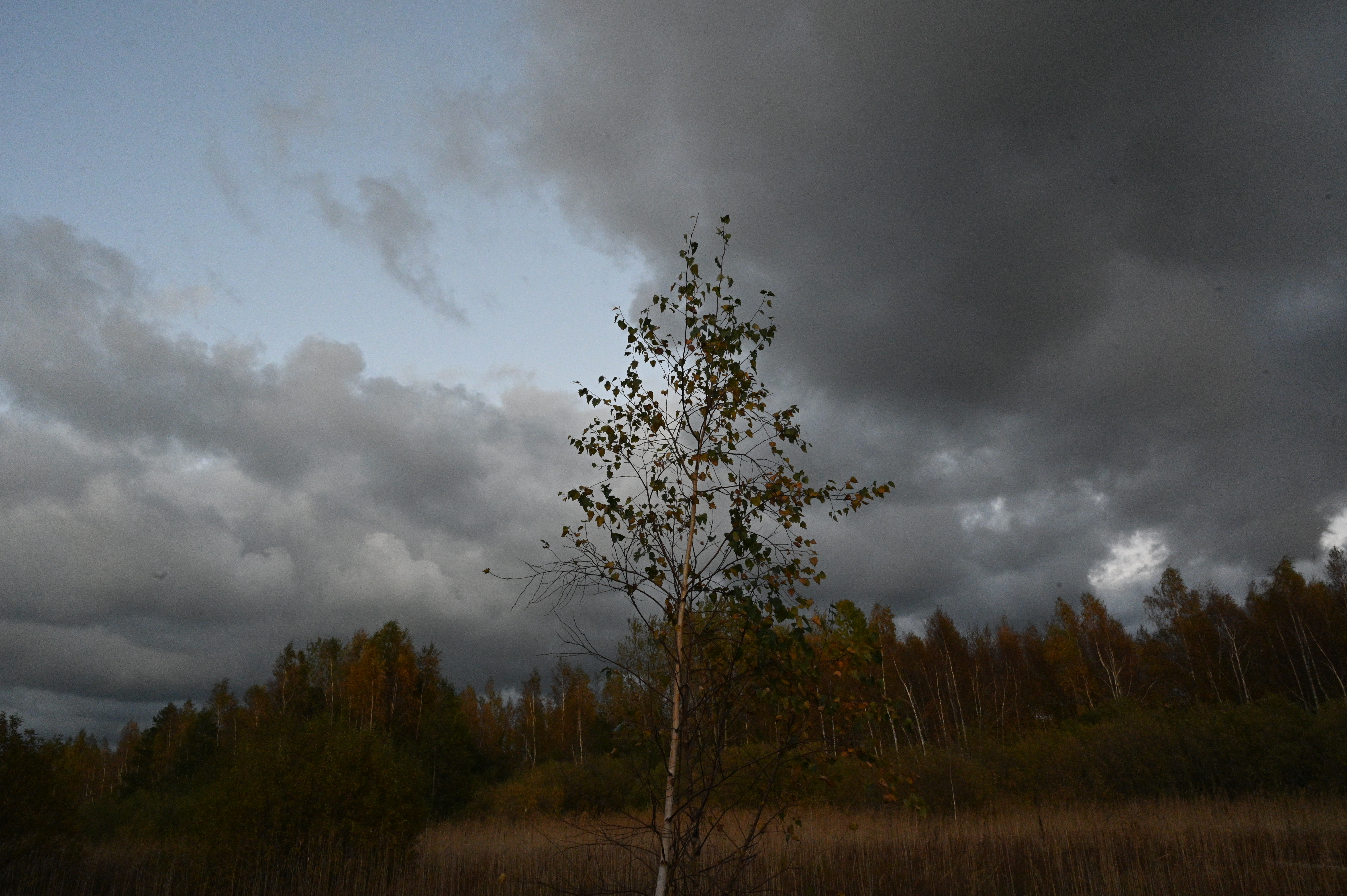 2025/10/18 - walk/DSC_0532.JPG